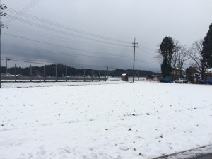 IMG_7728