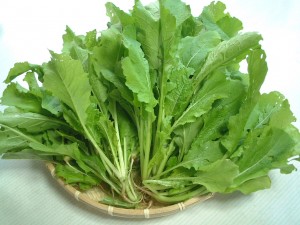 野沢菜