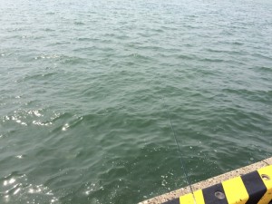 IMG_8635