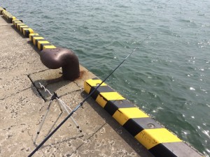 IMG_8636