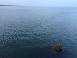 IMG_8730