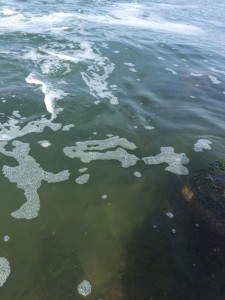 IMG_8732