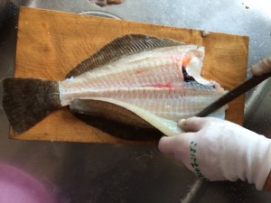 IMG_8916