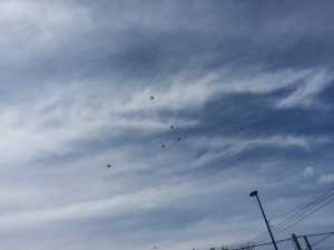 IMG_8952