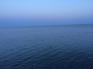 IMG_9003
