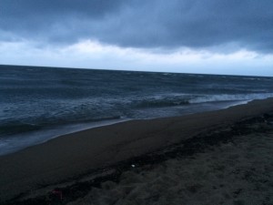 IMG_9014