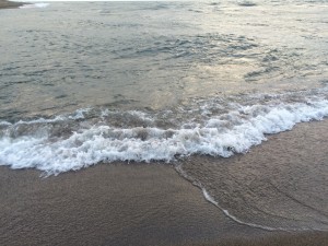 IMG_9016