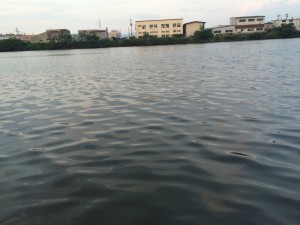 IMG_9065