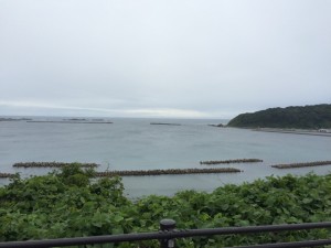IMG_9137