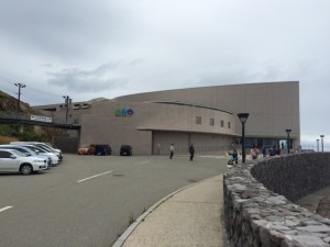 IMG_9141