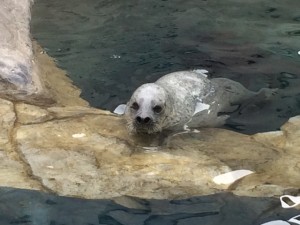 IMG_9193
