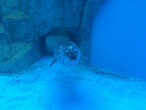 IMG_9210