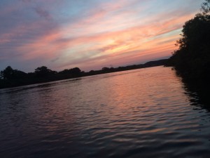 IMG_9249