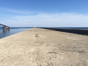 IMG_9306