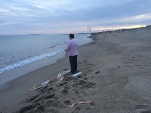 IMG_9339