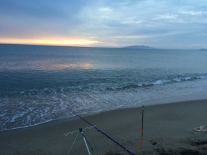 IMG_9340