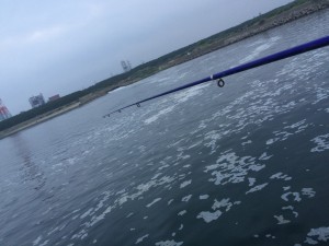IMG_9510