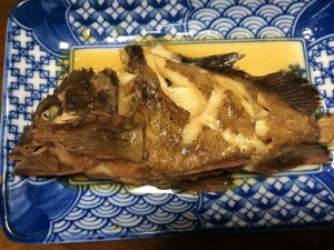 IMG_9519