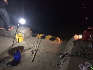 IMG_9582