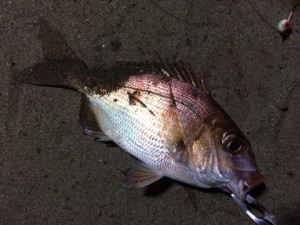 IMG_9584