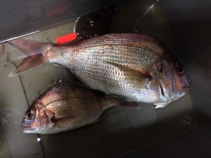 IMG_9653
