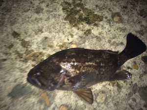 IMG_9789