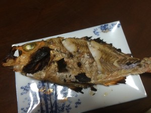 IMG_9803