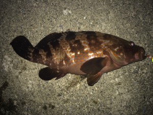 IMG_9829