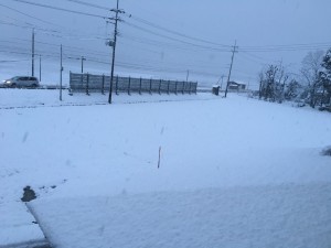 IMG_0476