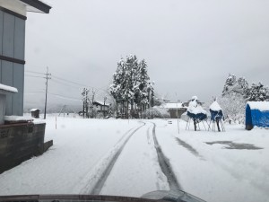 IMG_0477