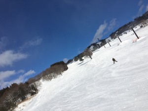 IMG_0748