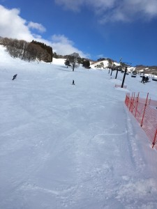 IMG_0749