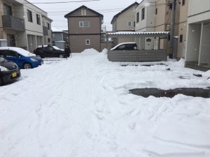 IMG_0845