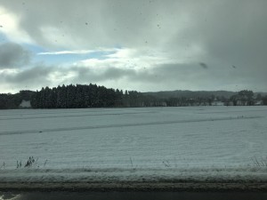 IMG_1211
