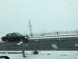 IMG_1212