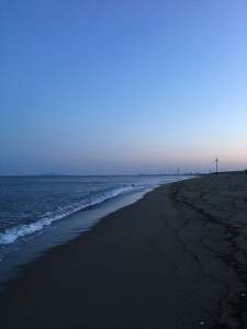 IMG_1446