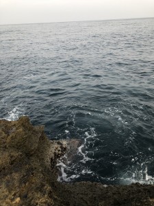 IMG_0632